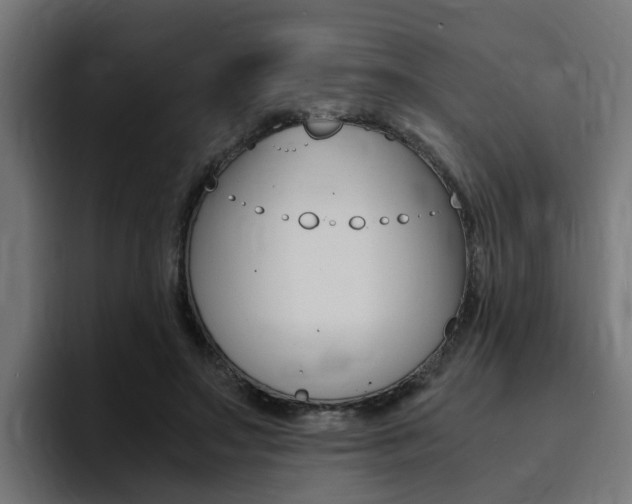 X0000094430499200711081022
