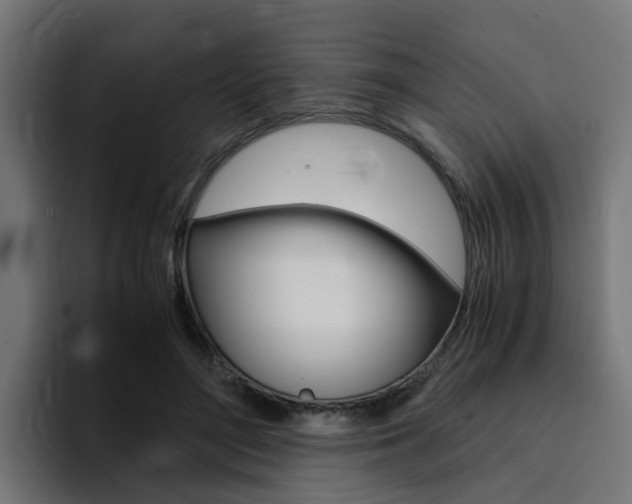 X0000094430500200711081022