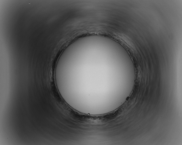X0000094430502200711081022