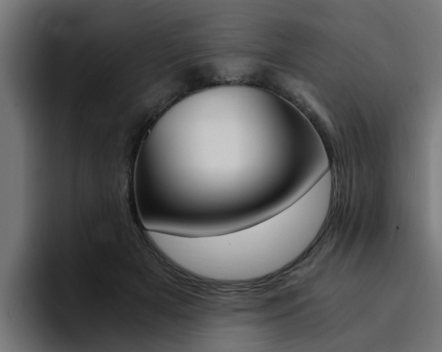 X0000094430505200711081022