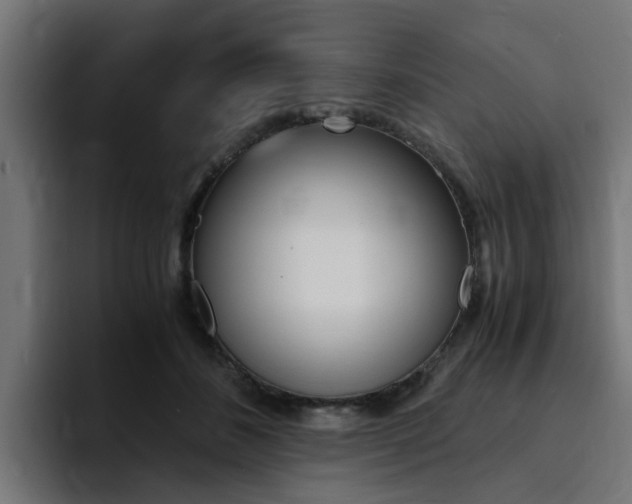 X0000094430508200711081022