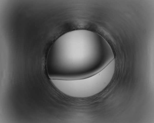 X0000094430509200711081022