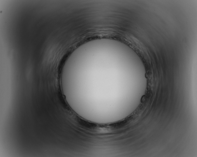 X0000094430510200711081022