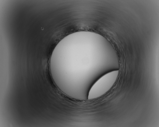 X0000094430511200711081022