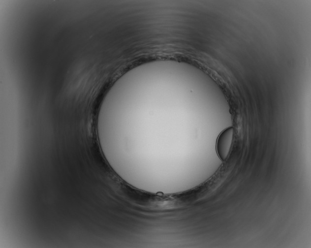 X0000094430514200711081022