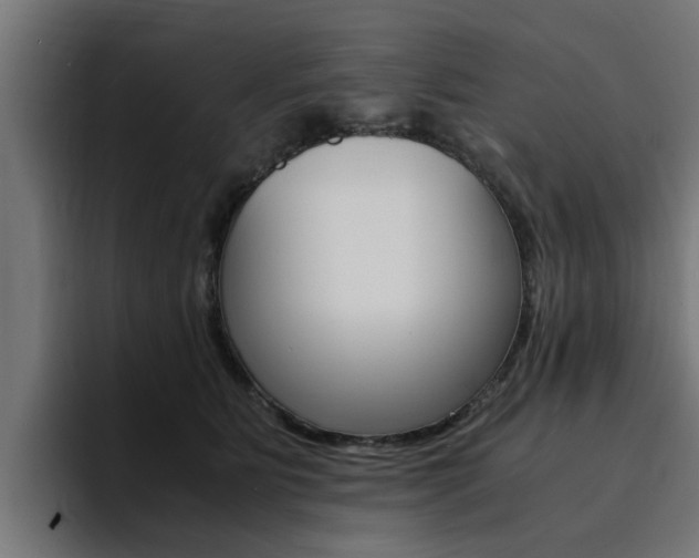 X0000094430515200711081022