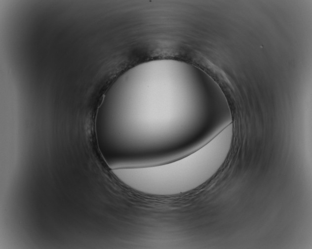 X0000094430517200711081021