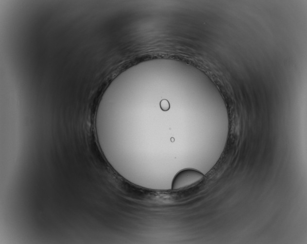 X0000094430518200711081021