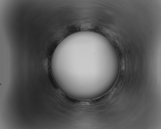 X0000094430519200711081021