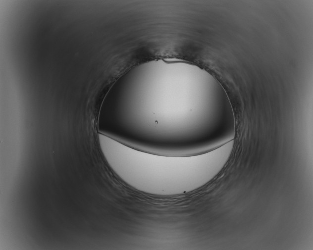 X0000094430521200711081021