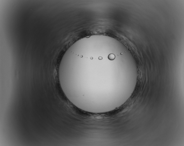 X0000094430523200711081021
