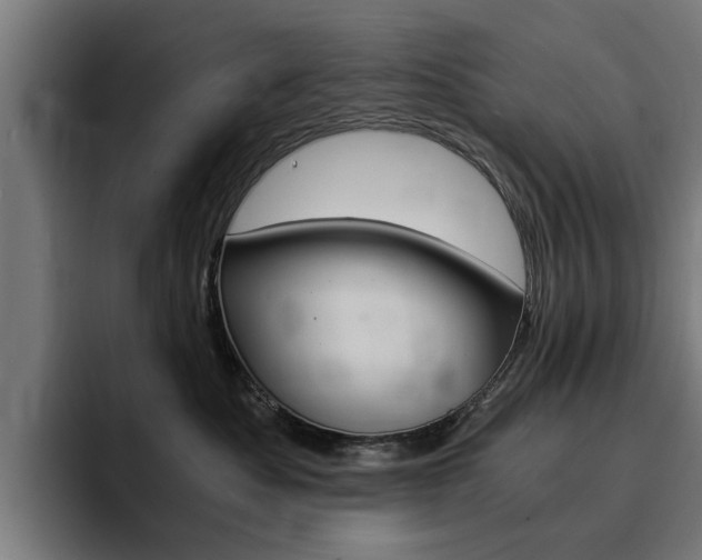 X0000094430525200711081021