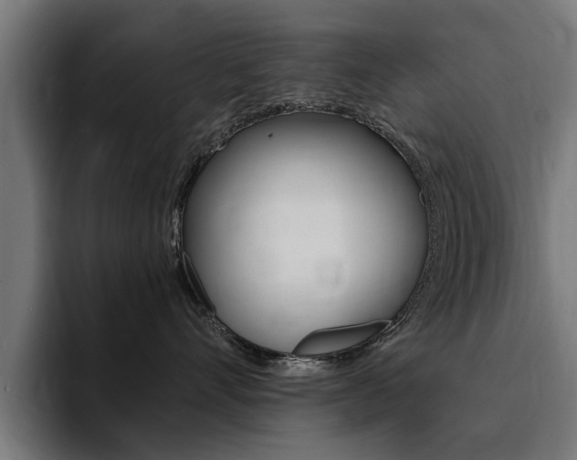 X0000094430528200711081021