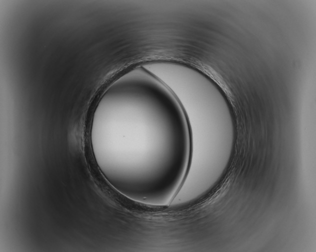 X0000094430530200711081021