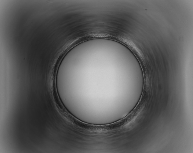 X0000094430533200711081021