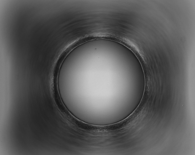 X0000094430535200711081021