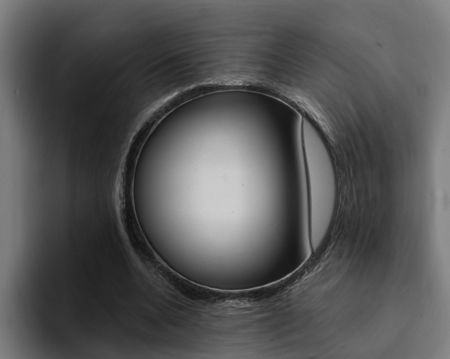 X0000094430536200711081021