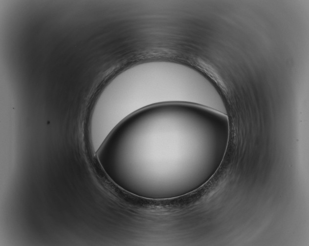X0000094430538200711081021