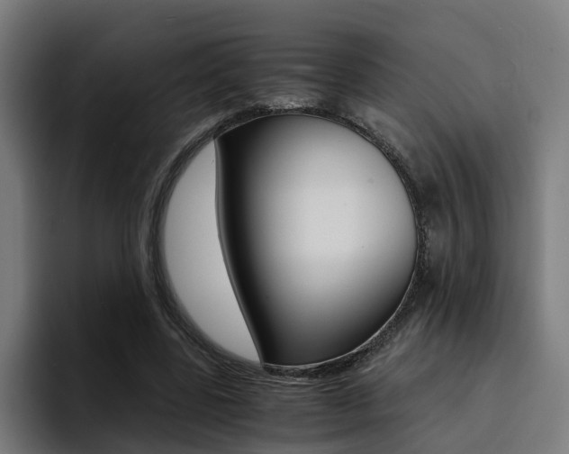 X0000094430539200711081021