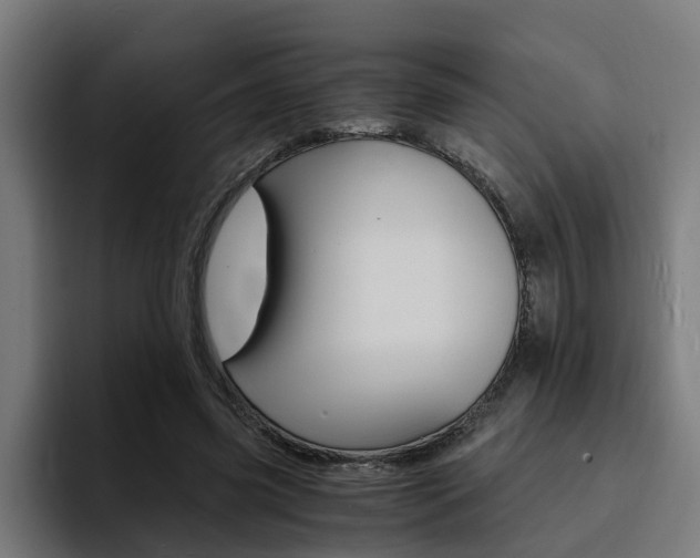 X0000094430541200711081021