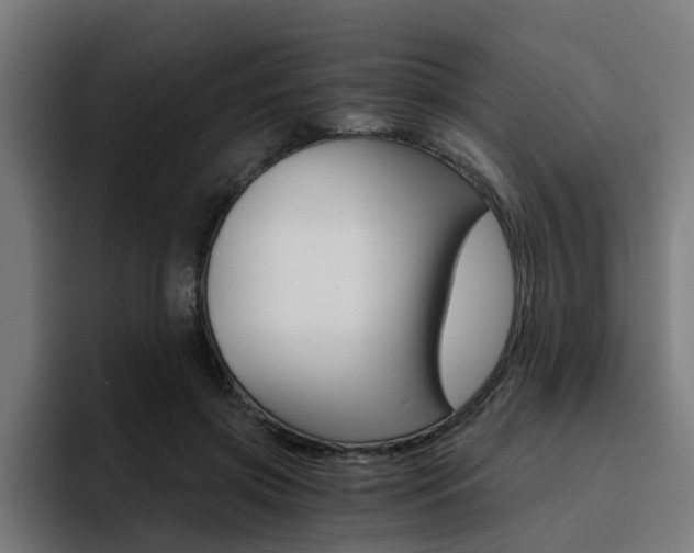 X0000094430549200711081021