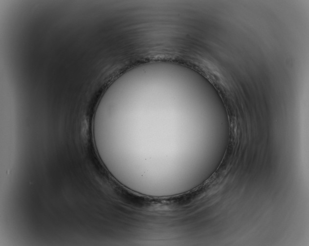 X0000094430550200711081021