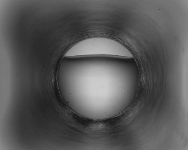 X0000094430551200711081021