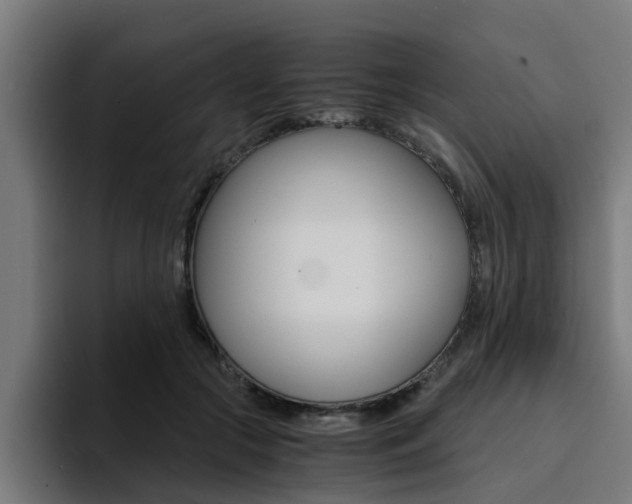 X0000094430553200711081021