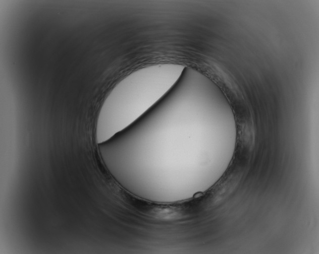 X0000094430557200711081021