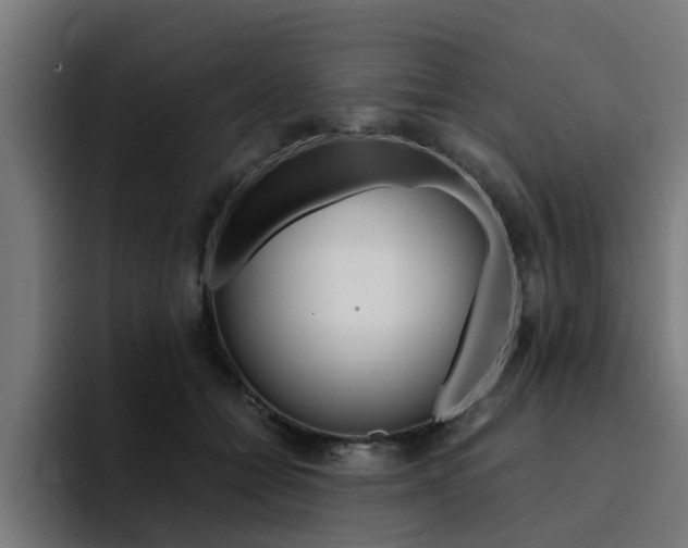 X0000094430558200711081021