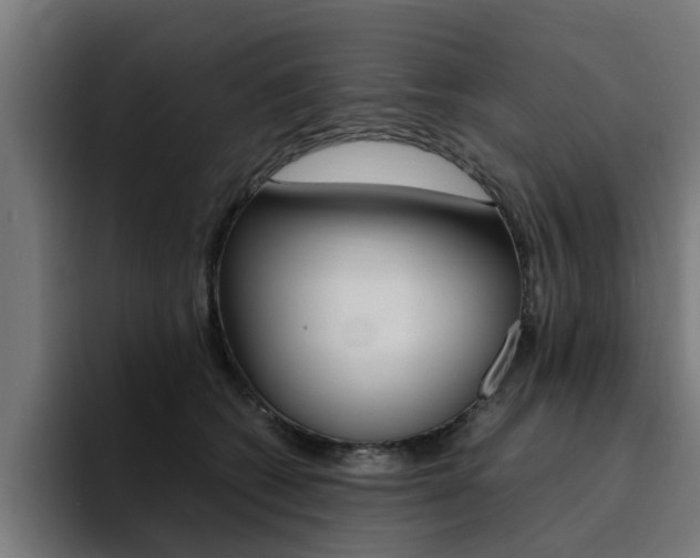 X0000094430562200711081021