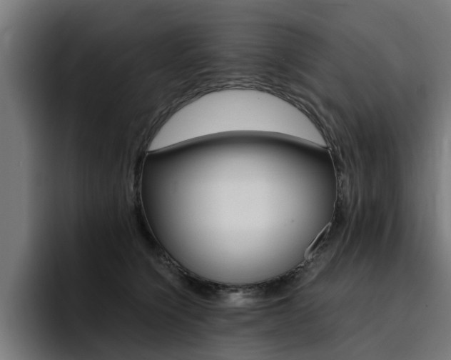 X0000094430564200711081021