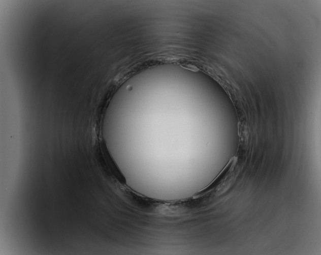 X0000094430568200711081021