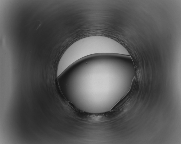 X0000094430570200711081021