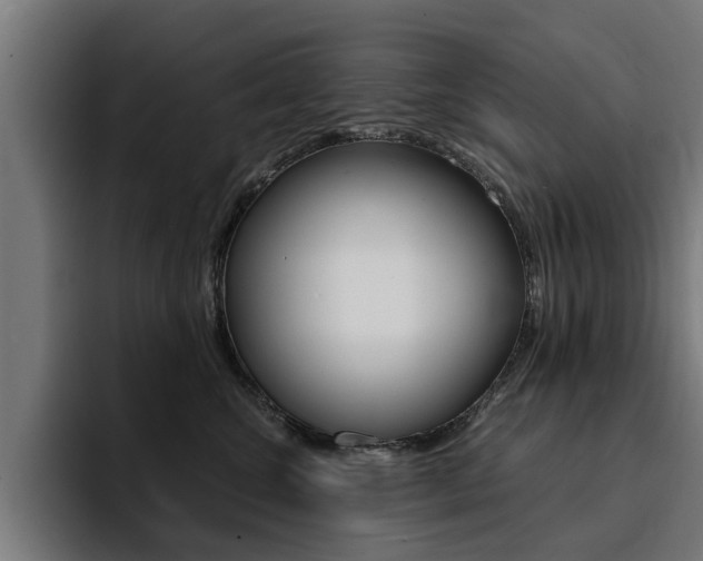 X0000094430572200711081021