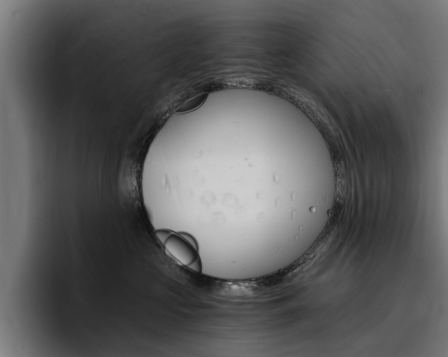 X0000094430573200711081021