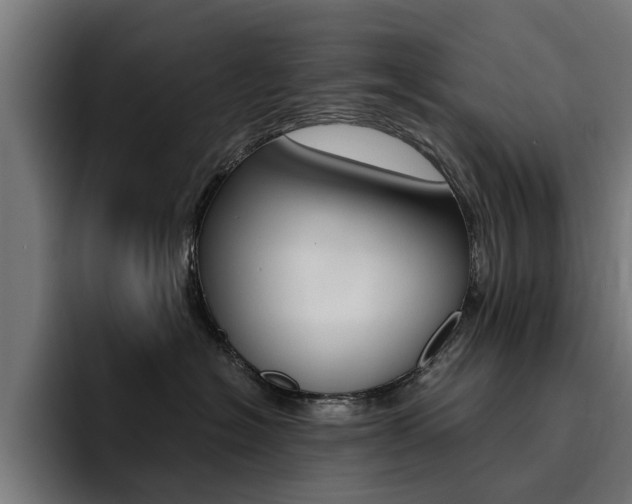 X0000094430574200711081021