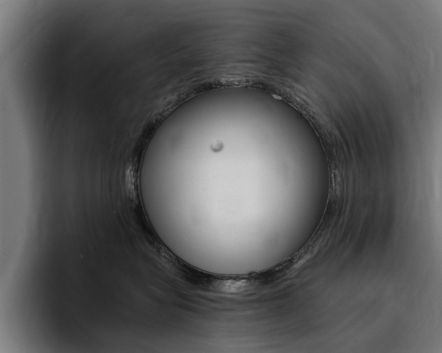 X0000094430575200711081021