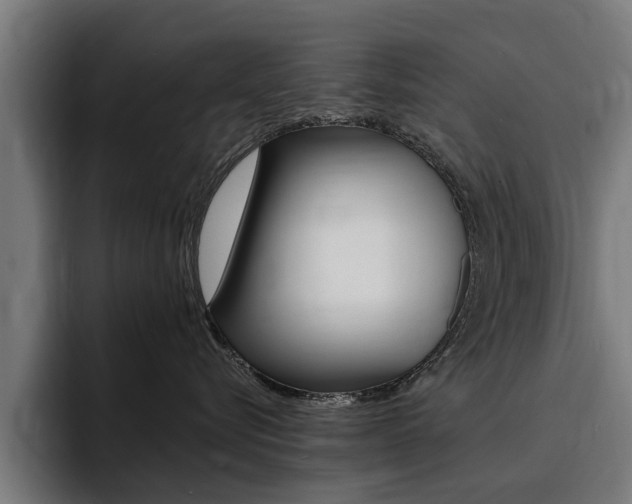 X0000094430576200711081021