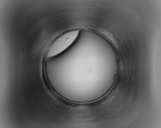 X0000094430578200711081021