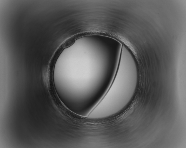 X0000094430580200711081021