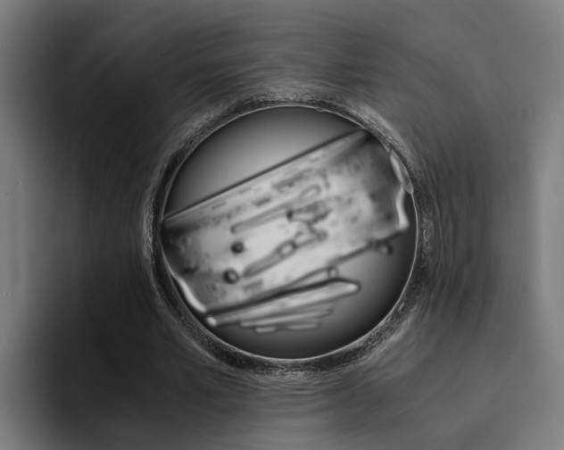 X0000094430581200711081021