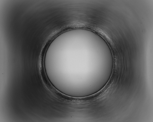 X0000094430582200711081021