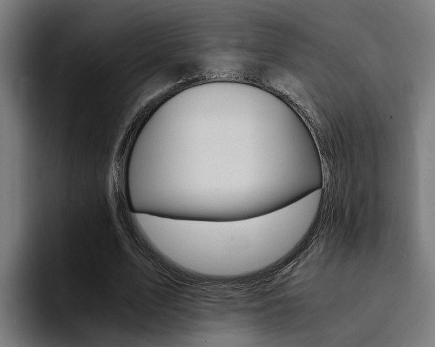 X0000094430583200711081021