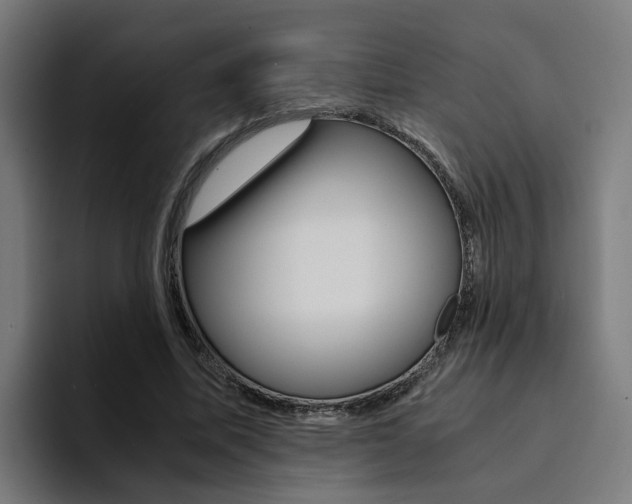 X0000094430587200711081021