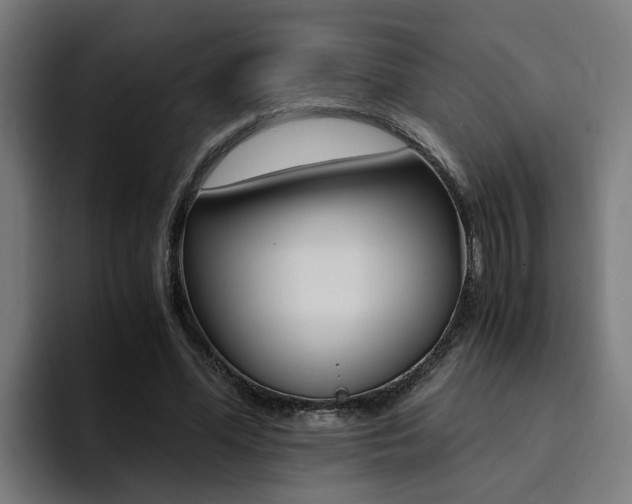 X0000094430588200711081021