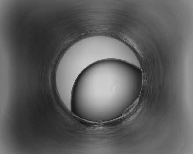X0000094430589200711081021