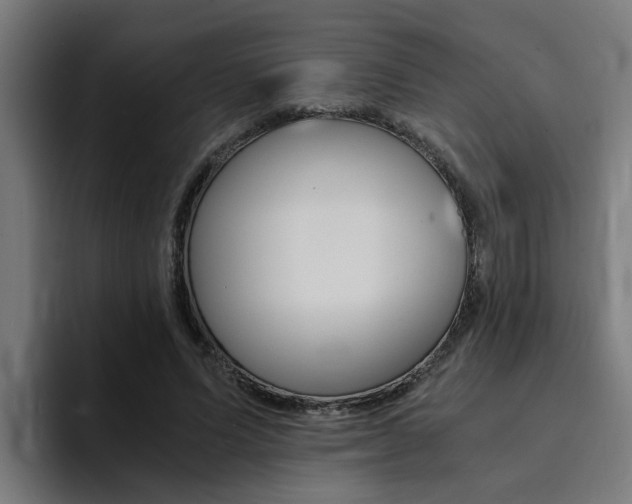 X0000094430591200711081021
