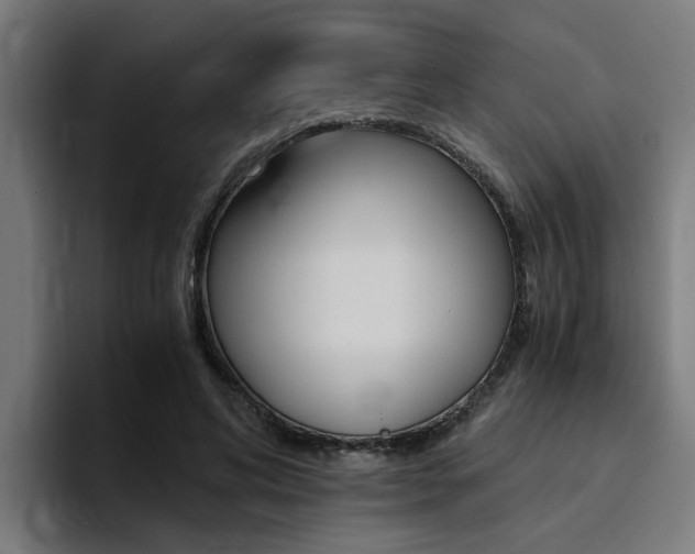 X0000094430592200711081020