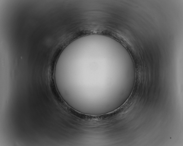 X0000094430594200711081020